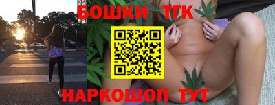 МДПВ Новодвинск