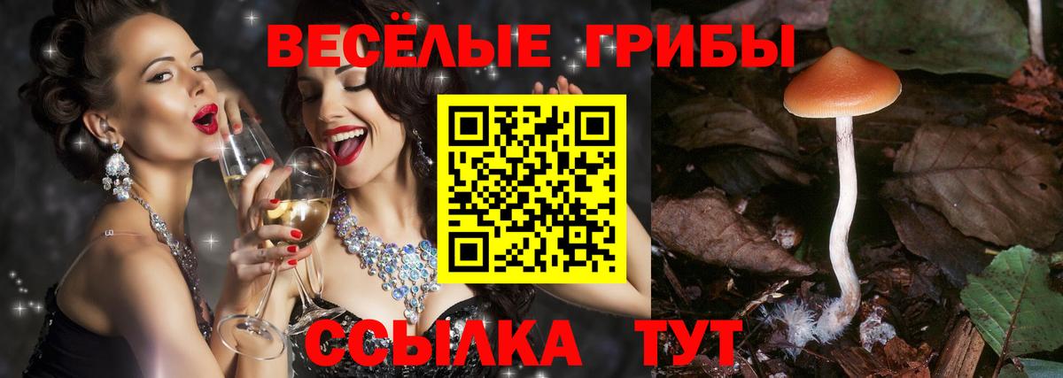Псилоцибиновые грибы Psilocybine cubensis Сердобск